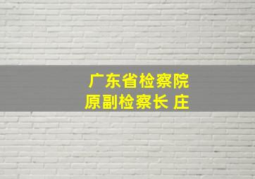 广东省检察院原副检察长 庄